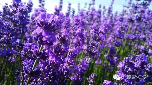 北京天文馆团购，北京天文馆官网订票（以爱之名，去北京最浪漫的地儿）