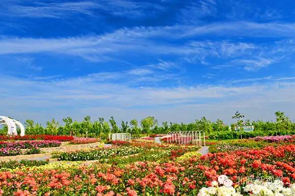 北京天文馆团购，北京天文馆官网订票（以爱之名，去北京最浪漫的地儿）