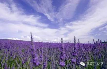 北京天文馆团购，北京天文馆官网订票（以爱之名，去北京最浪漫的地儿）