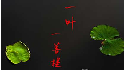 看破红尘是什么意思，一个女人看破红尘是什么意思（佛教中常说的看破红尘是什么意思）