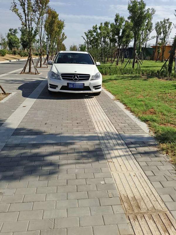 盐城想买宠物狗应该去什么地方，盐城想买宠物狗应该去什么地方上门（先到盐城大纵湖“撒个野”……）