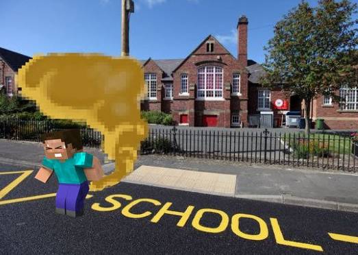 我的世界灰化土，我的世界里菌丝和灰化土是干嘛的（Minecraft功课温习好了吗）