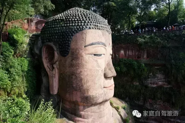 乐山大佛在四川哪里，乐山大佛在哪里（四川乐山大佛）