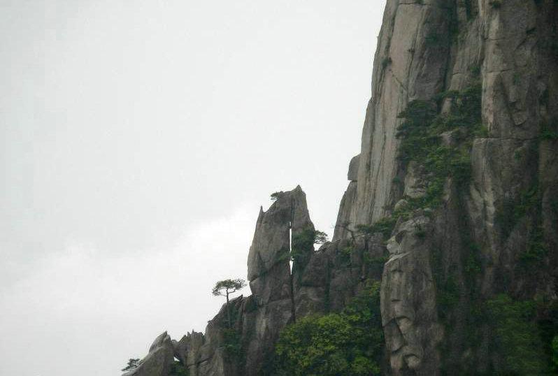 黄山奇石资料，黄山奇石资料200字（黄山的这些怪石头，你认得几块）