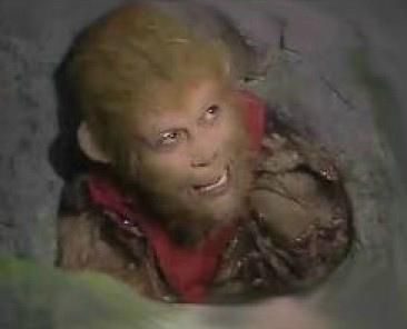 黄山奇石资料，黄山奇石资料200字（黄山的这些怪石头，你认得几块）