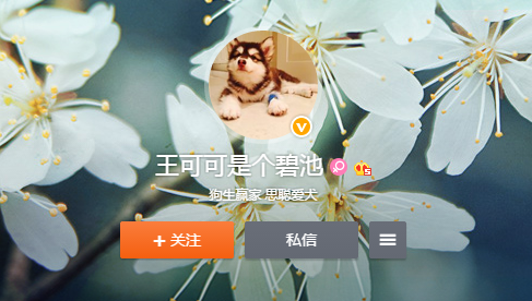 盐城想买宠物狗应该去什么地方，盐城想买宠物狗应该去什么地方上门（先到盐城大纵湖“撒个野”……）