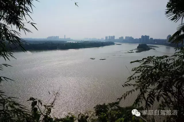 乐山大佛在四川哪里，乐山大佛在哪里（四川乐山大佛）