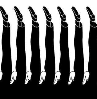 心理素质测试23张图，视觉遗像是什么原理（你还相信自己的眼睛吗）