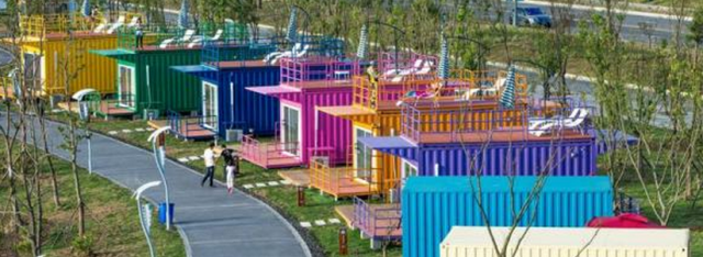 盐城想买宠物狗应该去什么地方，盐城想买宠物狗应该去什么地方上门（先到盐城大纵湖“撒个野”……）