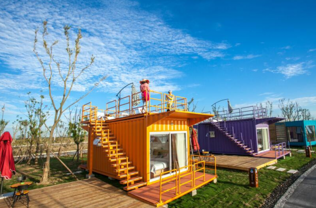 盐城想买宠物狗应该去什么地方，盐城想买宠物狗应该去什么地方上门（先到盐城大纵湖“撒个野”……）