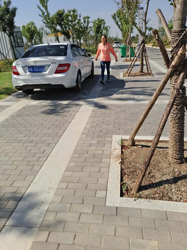 盐城想买宠物狗应该去什么地方，盐城想买宠物狗应该去什么地方上门（先到盐城大纵湖“撒个野”……）