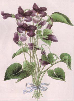 心理素质测试23张图，视觉遗像是什么原理（你还相信自己的眼睛吗）