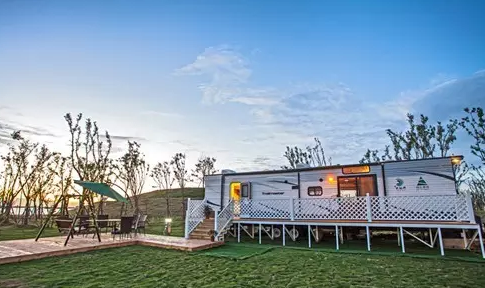 盐城想买宠物狗应该去什么地方，盐城想买宠物狗应该去什么地方上门（先到盐城大纵湖“撒个野”……）