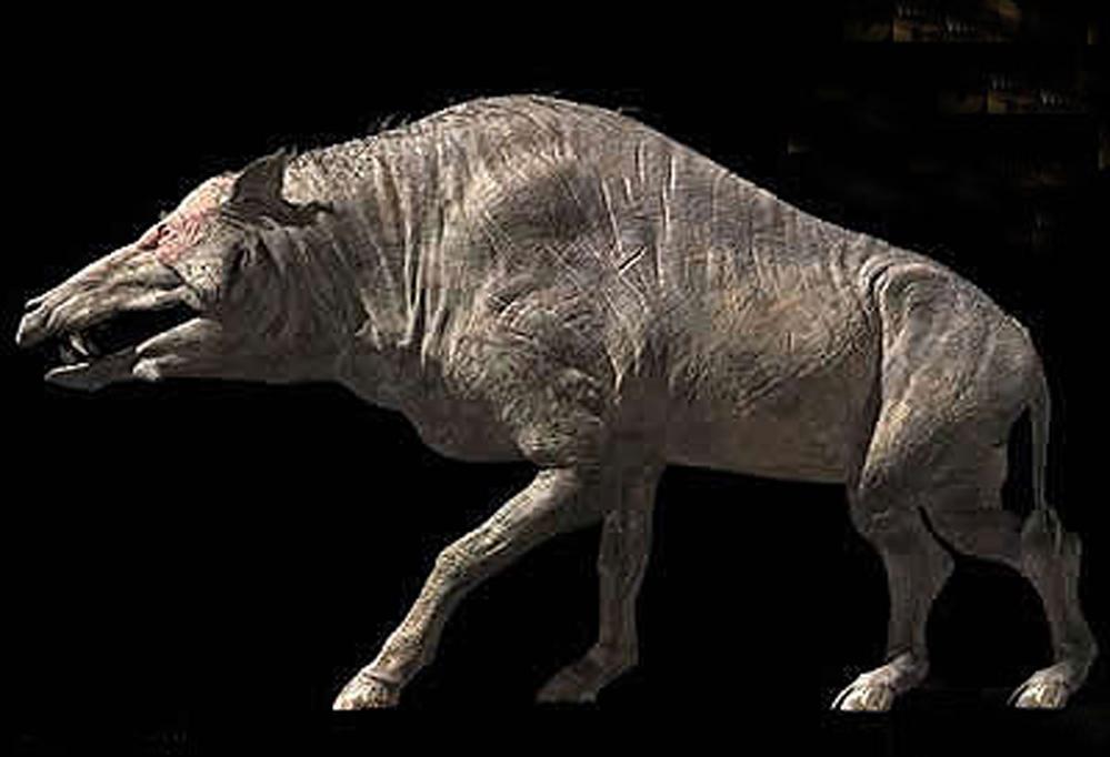 看了这些古代的猪,觉得现代的猪好可爱