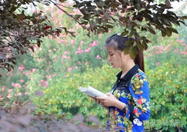 南阳师范学院怎么样，排名好不好（南阳师院的四季）