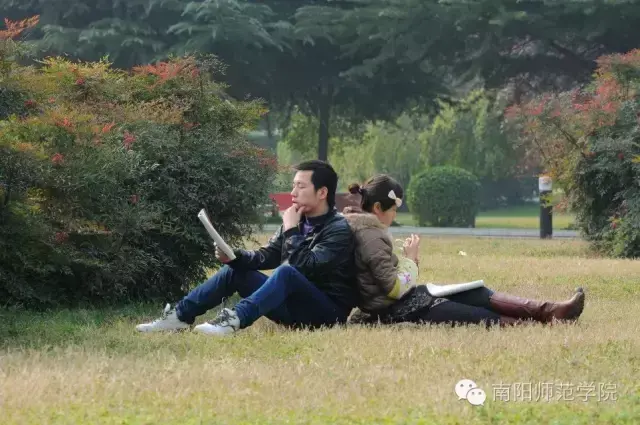 南阳师范学院怎么样，排名好不好（南阳师院的四季）