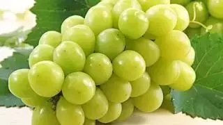 红葡萄的功效与作用，红葡萄的功效与作用是凉性还是热性（常吃这些颜色葡萄的烟台人）