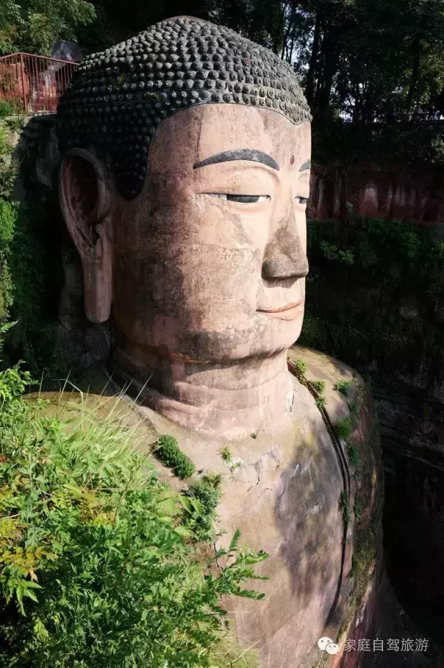 乐山大佛在四川哪里，乐山大佛在哪里（四川乐山大佛）