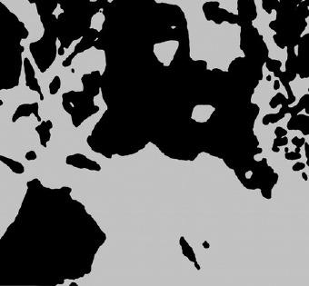 心理素质测试23张图，视觉遗像是什么原理（你还相信自己的眼睛吗）