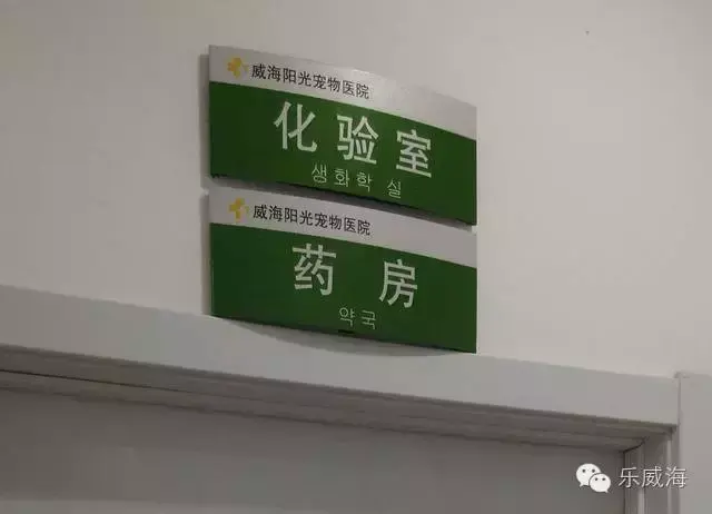 宠物诊所附近哪里有卖狗的店铺（宠物爱好者必看的宠物店铺推荐）