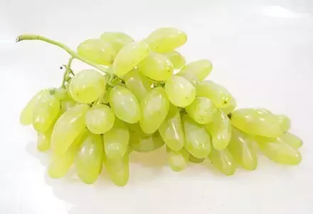 红葡萄的功效与作用，红葡萄的功效与作用是凉性还是热性（常吃这些颜色葡萄的烟台人）