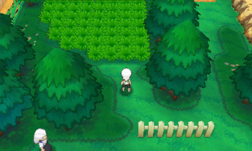 宝可梦5v什么意思，宝可梦5v6v（《精灵宝可梦》对战入门——能力以及性格）