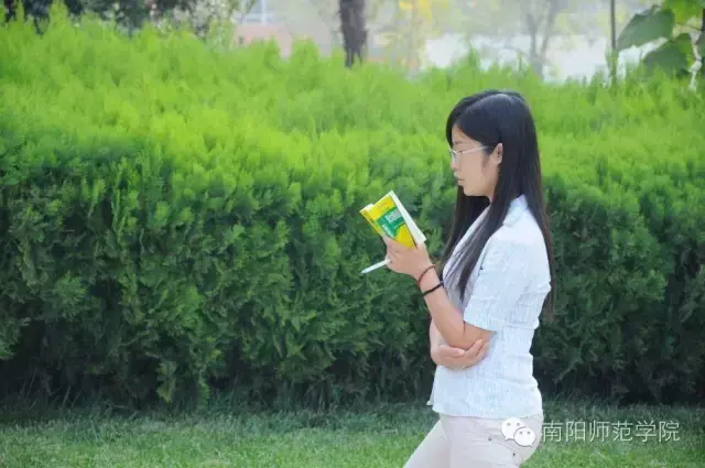 南阳师范学院怎么样，排名好不好（南阳师院的四季）