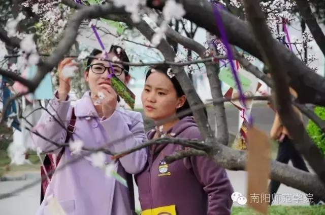 南阳师范学院怎么样，排名好不好（南阳师院的四季）