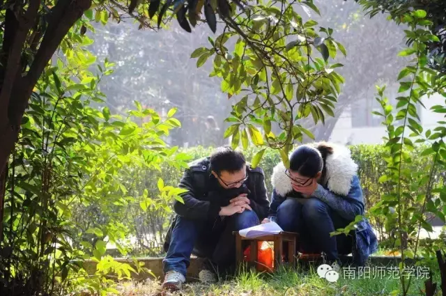 南阳师范学院怎么样，排名好不好（南阳师院的四季）