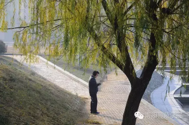 南阳师范学院怎么样，排名好不好（南阳师院的四季）