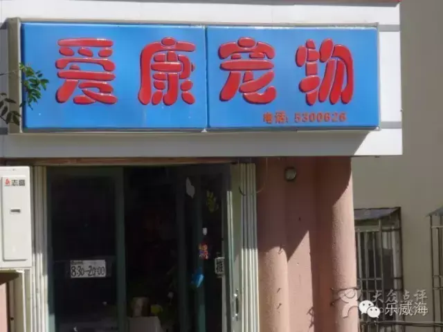 宠物诊所附近哪里有卖狗的店铺（宠物爱好者必看的宠物店铺推荐）