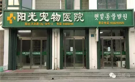 宠物诊所附近哪里有卖狗的店铺（宠物爱好者必看的宠物店铺推荐）