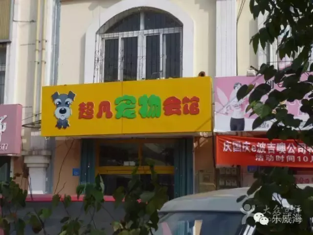 宠物诊所附近哪里有卖狗的店铺（宠物爱好者必看的宠物店铺推荐）