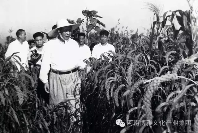 陈正人是将军吗，陈正人传ppt（毛主席在河南——纪念毛主席逝世四十周年）