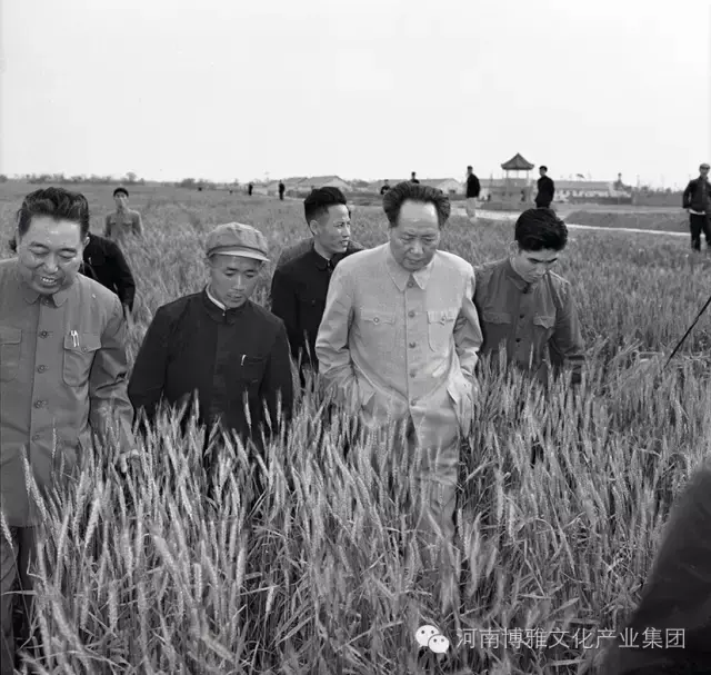 陈正人是将军吗，陈正人传ppt（毛主席在河南——纪念毛主席逝世四十周年）