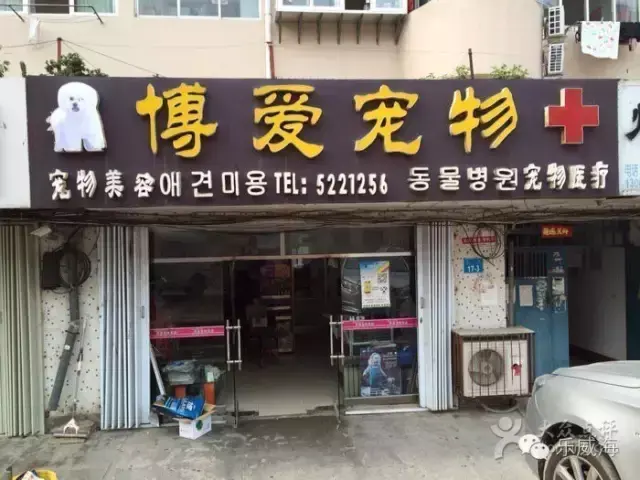 宠物诊所附近哪里有卖狗的店铺（宠物爱好者必看的宠物店铺推荐）