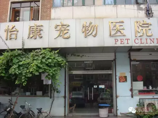 宠物诊所附近哪里有卖狗的店铺（宠物爱好者必看的宠物店铺推荐）