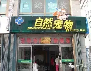 宠物诊所附近哪里有卖狗的店铺（宠物爱好者必看的宠物店铺推荐）