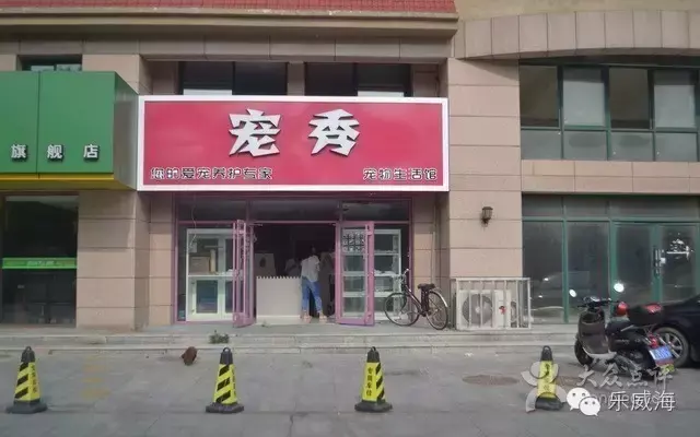 宠物诊所附近哪里有卖狗的店铺（宠物爱好者必看的宠物店铺推荐）