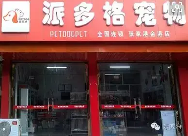 宠物诊所附近哪里有卖狗的店铺（宠物爱好者必看的宠物店铺推荐）