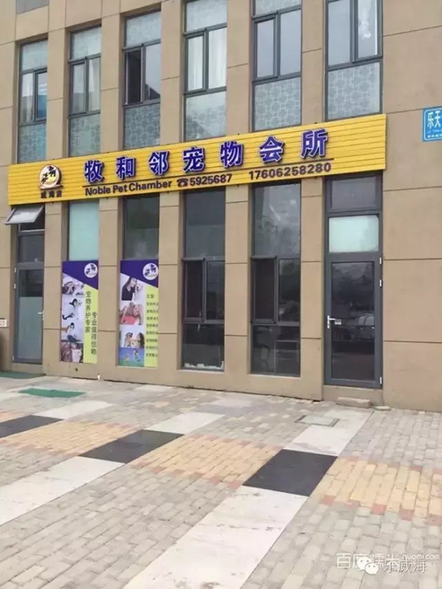 宠物诊所附近哪里有卖狗的店铺（宠物爱好者必看的宠物店铺推荐）