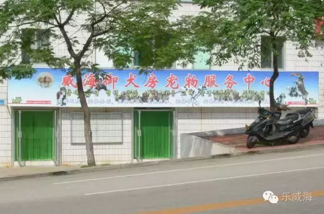 宠物诊所附近哪里有卖狗的店铺（宠物爱好者必看的宠物店铺推荐）