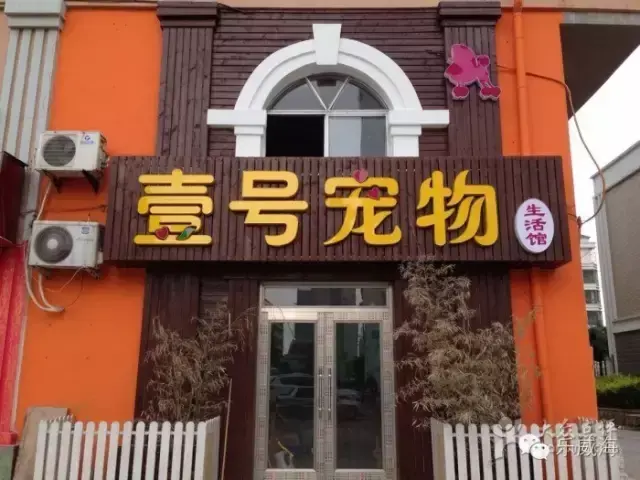 宠物诊所附近哪里有卖狗的店铺（宠物爱好者必看的宠物店铺推荐）