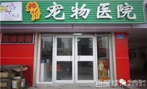 宠物诊所附近哪里有卖狗的店铺（宠物爱好者必看的宠物店铺推荐）