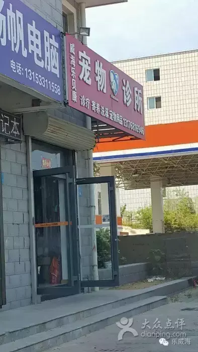 宠物诊所附近哪里有卖狗的店铺（宠物爱好者必看的宠物店铺推荐）