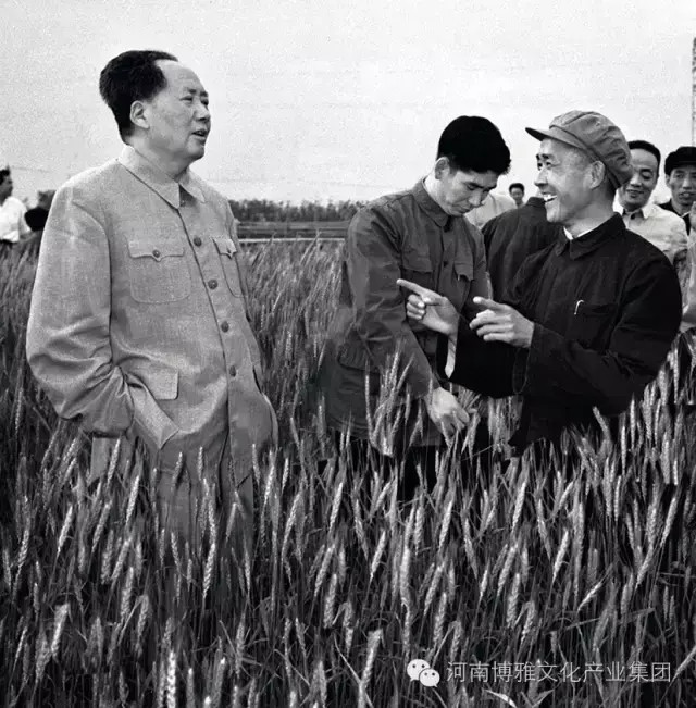 陈正人是将军吗，陈正人传ppt（毛主席在河南——纪念毛主席逝世四十周年）