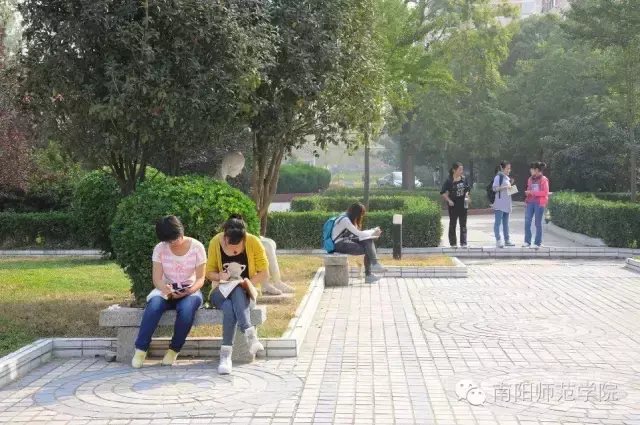 南阳师范学院怎么样，排名好不好（南阳师院的四季）