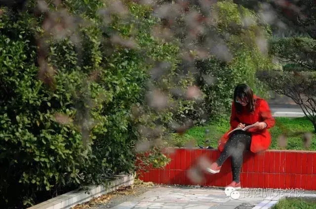 南阳师范学院怎么样，排名好不好（南阳师院的四季）