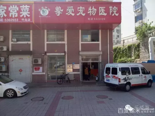 宠物诊所附近哪里有卖狗的店铺（宠物爱好者必看的宠物店铺推荐）