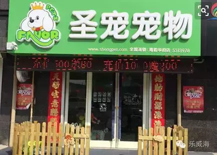 宠物诊所附近哪里有卖狗的店铺（宠物爱好者必看的宠物店铺推荐）